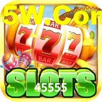 Premium Interface 45555